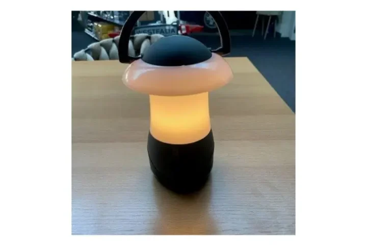 Bo Camp cygnes lamp